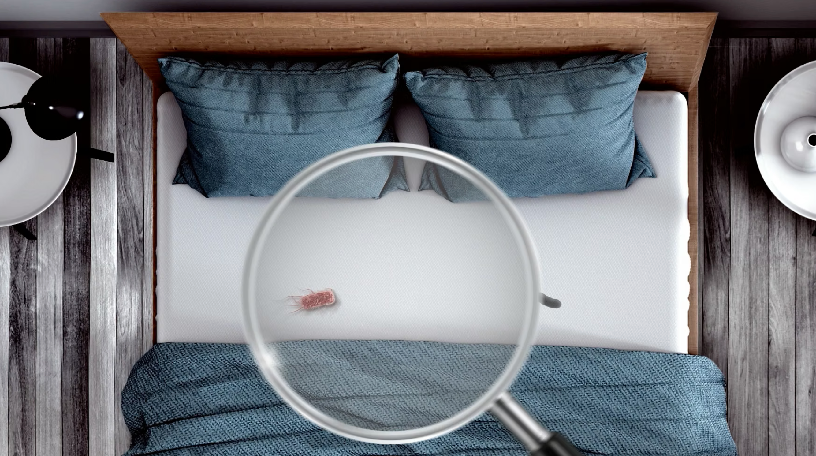 How EnviroBiotics Approaches Indoor Air Quality Differently Than Every Other Brand